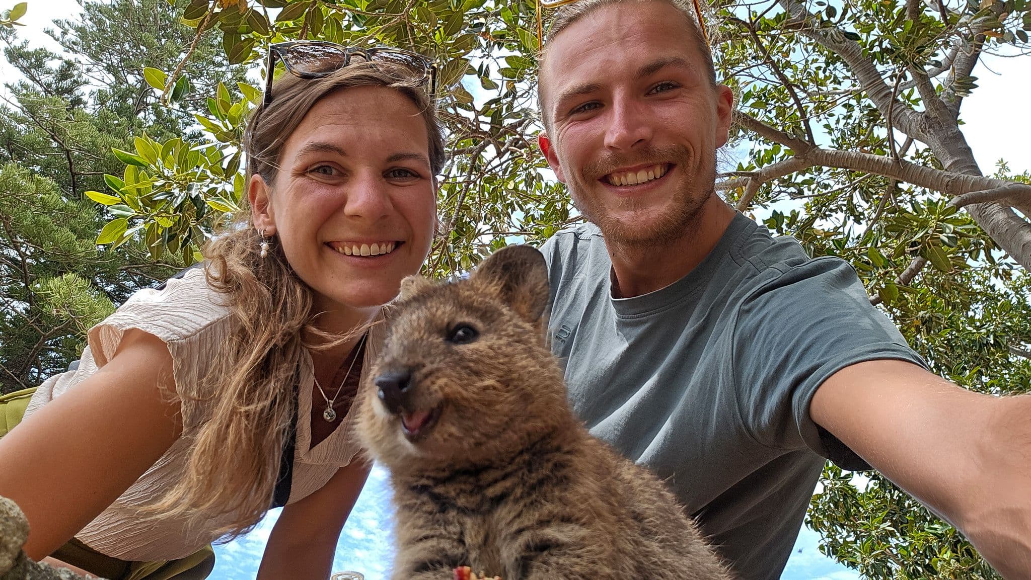Backpackwereld-Rottnest Island Quokka selfie -AU.jpg