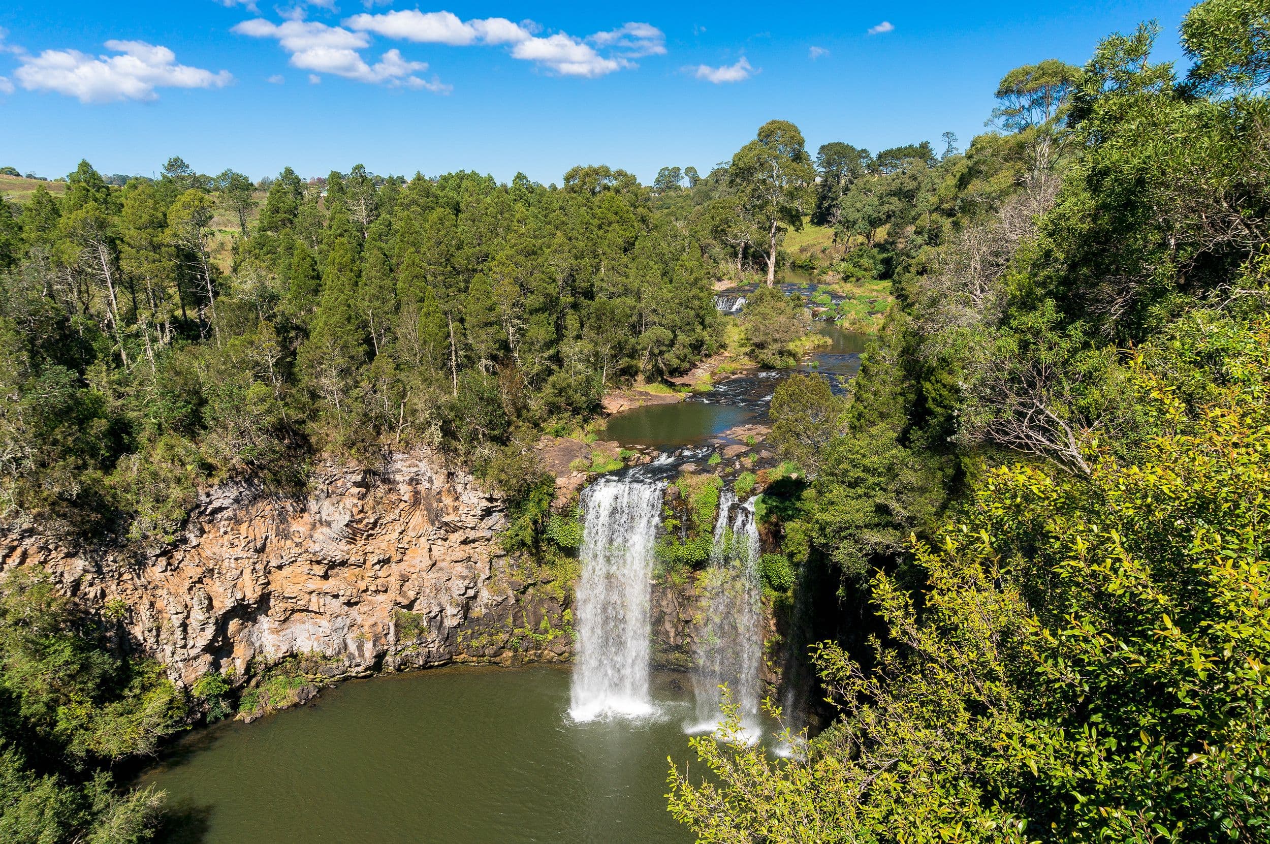 Dangar Falls, Dorrigo.jpeg